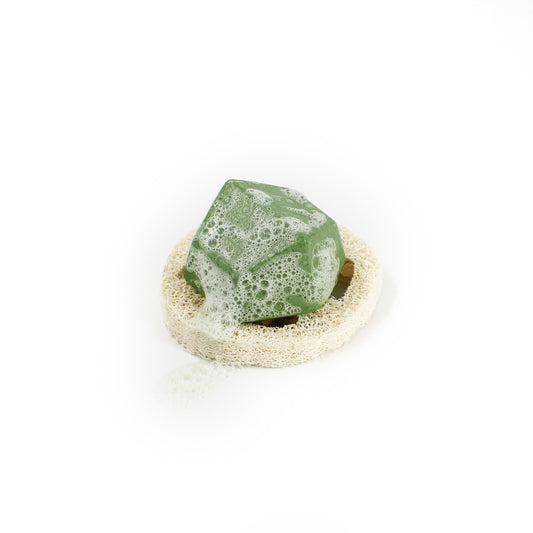Luffa Compostable Shampoo Holder