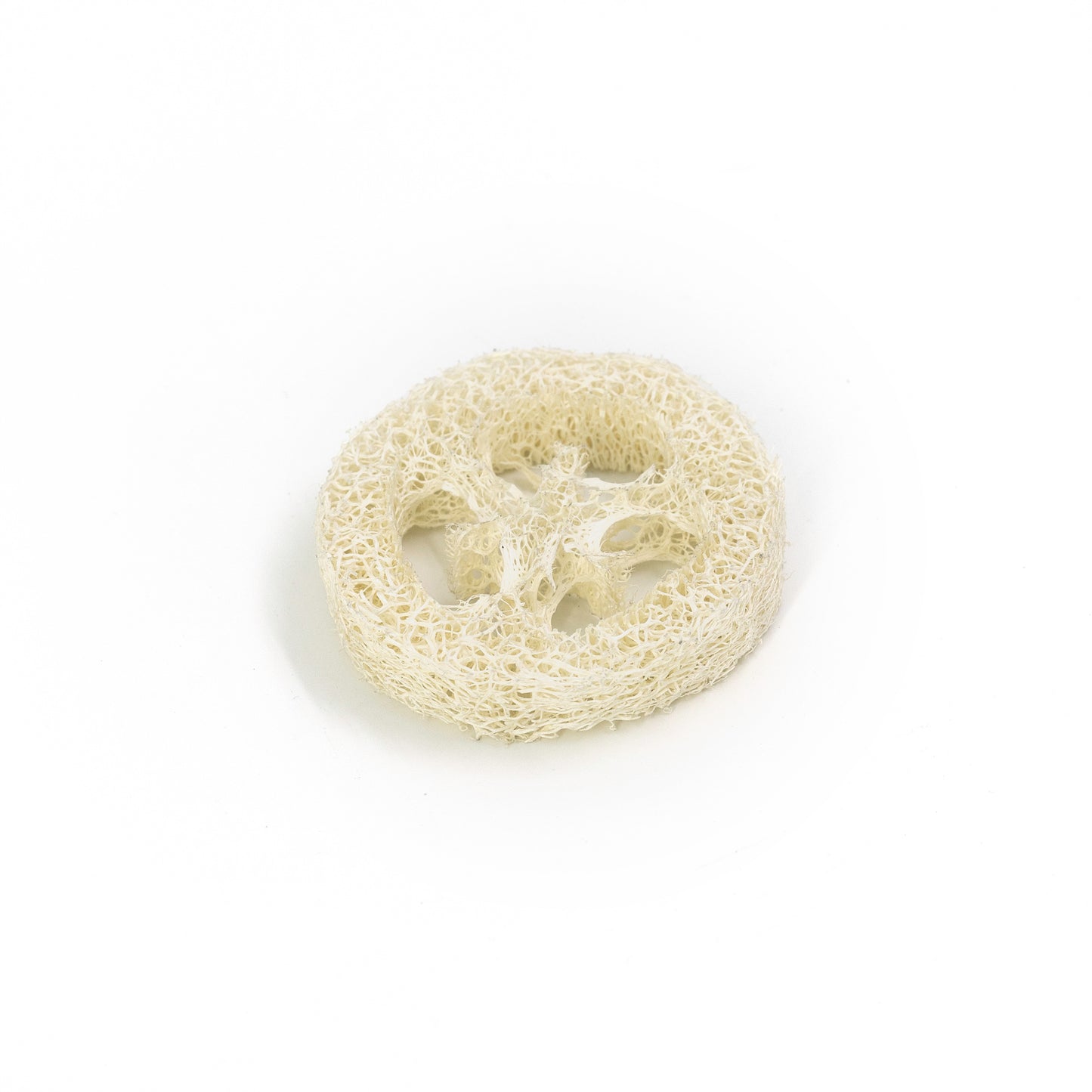 Luffa Compostable Shampoo Holder