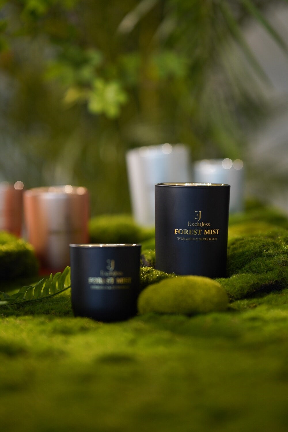 Gift set Forest Mist Everreen &amp; Silver Birch Fragrance Sticks &amp; Scented Candle