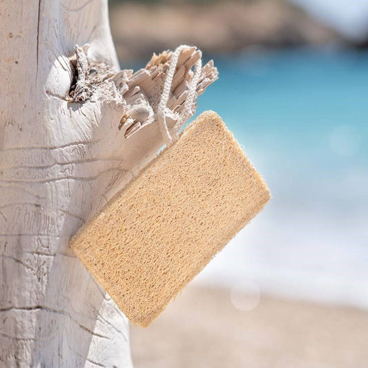 Natural and biodegradable loofah sponge